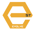 Est.28 Evolve Logo